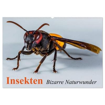 Insekten • Bizarre Naturwunder (Wandkalender 2027 DIN A2 quer), CALVENDO Monatskalender