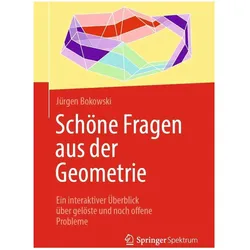 Schöne Fragen aus der Geometrie, Fachbücher von Jürgen Bokowski