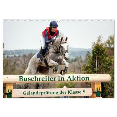 Buschreiter in Aktion (Wandkalender 2026 DIN A3 quer), CALVENDO Monatskalender