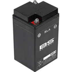 BS-Battery Batterie SLA 6V B49-6