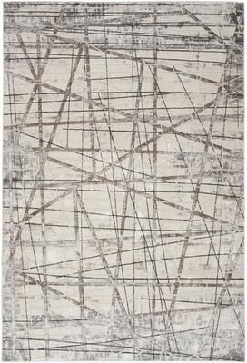 Nourison Desire Indoor Silver Abstract Area Rug