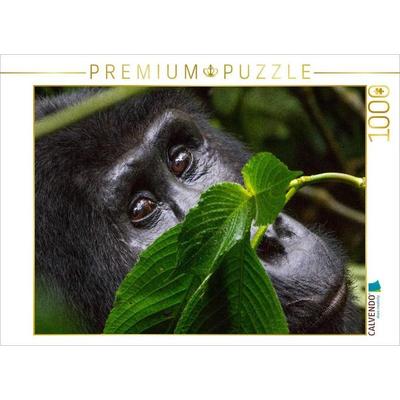 CALVENDO Puzzle Watching you | 1000 Teile Lege-Größe 64x48cm Foto-Puzzle für glückliche Stunden