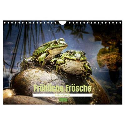 Fröhliche Frösche (Wandkalender 2026 DIN A4 quer), CALVENDO Monatskalender