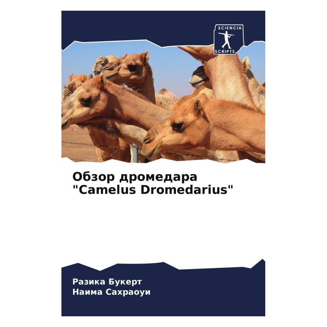 Various Publishers Obzor dromedara 'Camelus Dromedarius' (51562107)