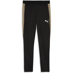 PUMA individualFINAL Trainingshose Herren 09 - desert dust/puma white L