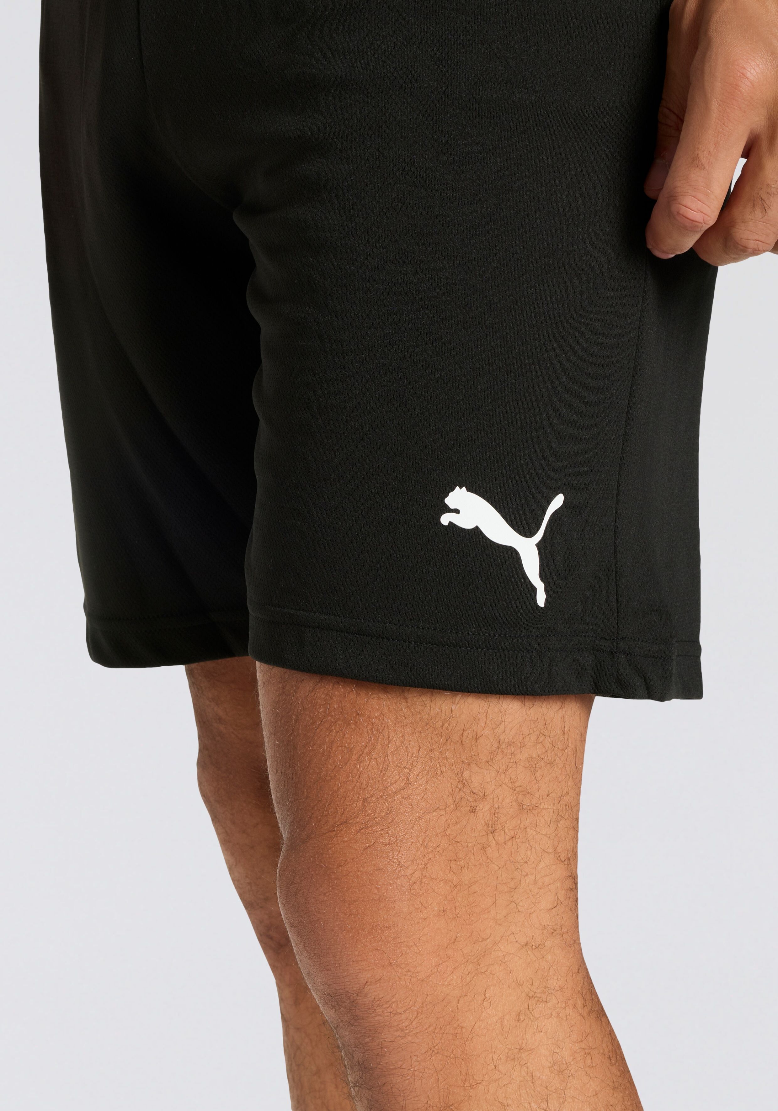 Trainingsshorts PUMA "TEAMRISE SHORT", Damen, Gr. S, N-Gr, schwarz-weiss (puma schwarz, puma weiß), Netz, Obermaterial: 100% Polyester, unifarben, regular fit normal, Hosen Trainingsshorts, atmungsaktives Material, mit DryCELL Technologie, elastischer Bun