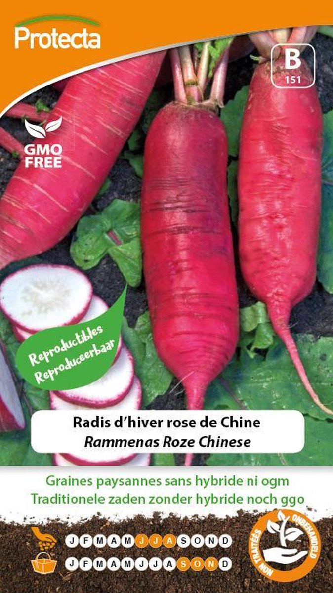 Chinese Radijs Roze