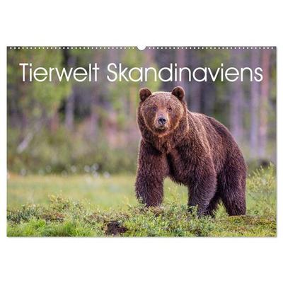 Tierwelt Skandinaviens (Wandkalender 2027 DIN A2 quer), CALVENDO Monatskalender