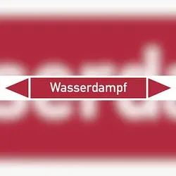 Rohrleitungskennzeichen Wasserdampf - 100x15 mm Folie selbstklebend