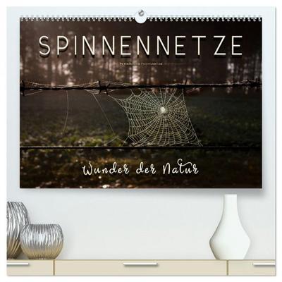 Spinnennetze - Wunder der Natur (hochwertiger Premium Wandkalender 2026 DIN A2 quer), Kunstdruck in Hochglanz