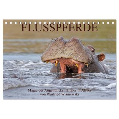 Flusspferde Magie des Augenblicks - Hippos in Afrika (Tischkalender 2027 DIN A5 quer), CALVENDO Monatskalender