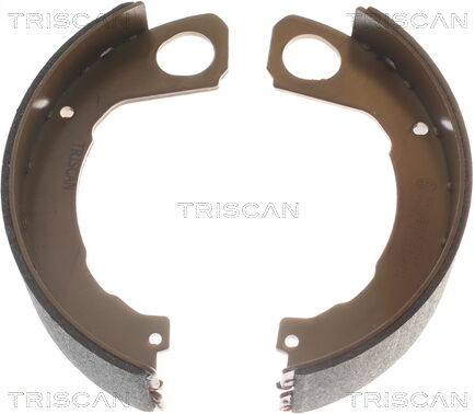 Triscan 8100 42022 Für Fuso (Mitsubishi)