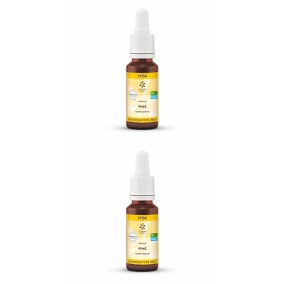 Bachblüten No.24 Pine Bio 2x 2x20 ml