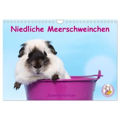 Niedliche Meerschweinchen (Wandkalender 2027 DIN A4 quer), CALVENDO Monatskalender