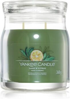 Yankee Candle Sage & Citrus vela perfumada Signature Signature 368 g. Sage & Citrus