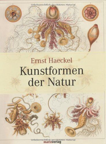 Ernst Haeckel - Kunstformen der Natur - Preis vom 18.10.2026 15:28:09 h