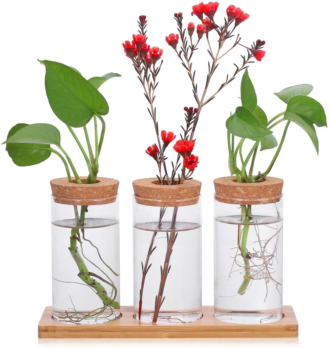 Dailygoods Propagatiestation met houten sokkel en 3 kleine hydrocultuur vazen van borosilicaatglas
