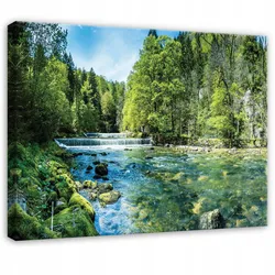 LEINWANDBILD Wald Fluss Grün 60x40 cm