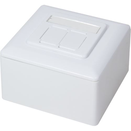 LogiLink Wanddose RJ-45 X 2 - RAL 9003 - 2 Ports
