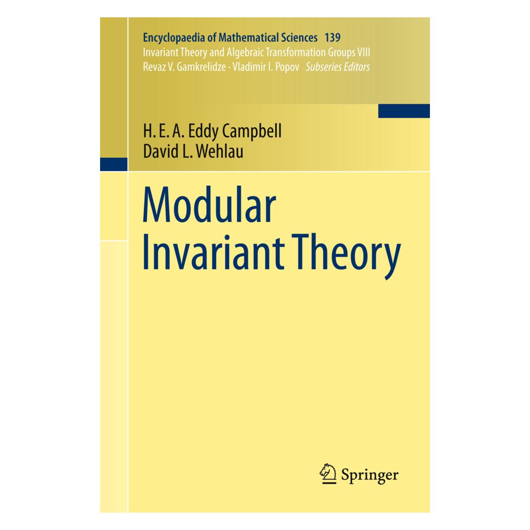 Springer Modular Invariant Theory (Englisch, Softcover, David L Wehlau, H.E.A. Eddy Campbell) (55515732)