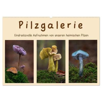 Pilzgalerie - Eindrucksvolle Aufnahmen von unseren heimischen Pilzen (Wandkalender 2027 DIN A2 quer), CALVENDO Monatskalender