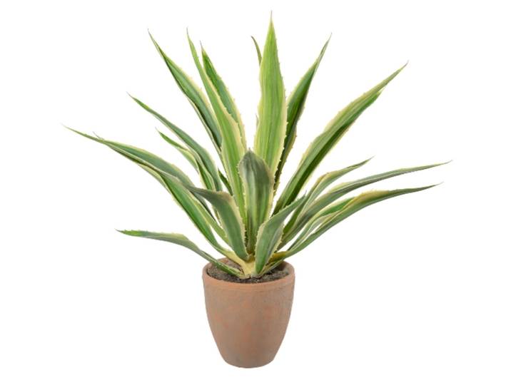 Kunstpflanze Agave im Terracottatopf, Grüncreme H: 85 cm Gasper