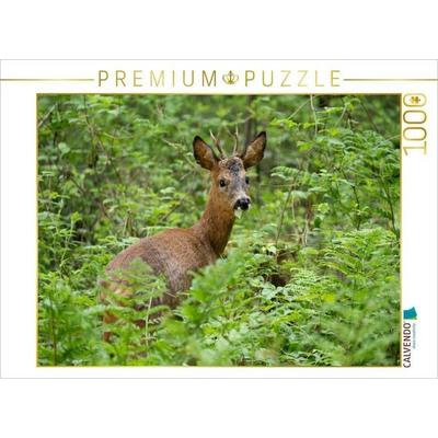 CALVENDO Puzzle Rehbock bei einem zauberhaften Frühstück | 1000 Teile Lege-Größe 64x48cm Foto-Puzzle für glückliche Stunden, Sonstige von , Calvendo