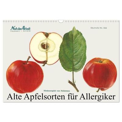 Alte Apfelsorten für Allergiker (Wandkalender 2026 DIN A3 quer), CALVENDO Monatskalender