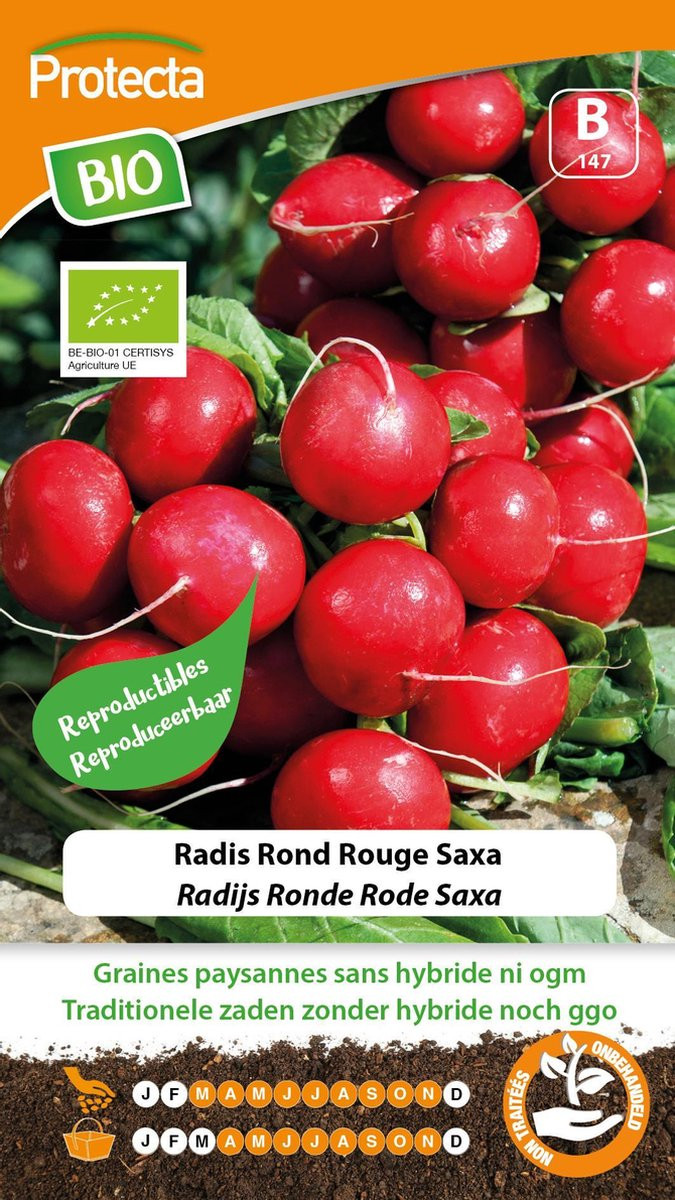 Protecta Radijs Ronde Rode Saxa 2 Biologisch Groentezaden