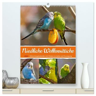 Niedliche Wellensittiche (hochwertiger Premium Wandkalender 2026 DIN A2 hoch), Kunstdruck in Hochglanz