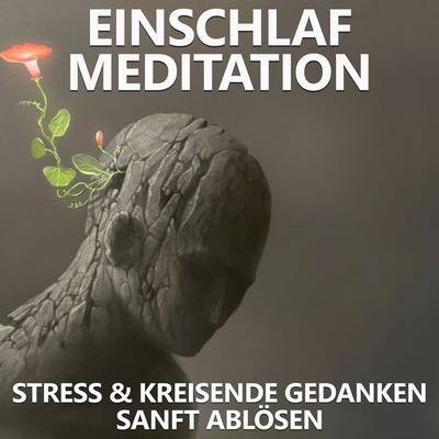 Einschlafmeditation | Stress und kreisende Gedanken sanft ablösen - Raphael Kempermann, Audio, 4061707906084