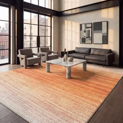 SAFAVIEH Adirondack Wilmy Ombre Distressed Rug