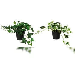 Decoris 1 Künstlicher Efeu 25x17x28cm im Topf Kunstpflanze Efeupflanze Topfpflanze Frühlingsdeko Osterdeko Sommerdeko Balkondeko Grün