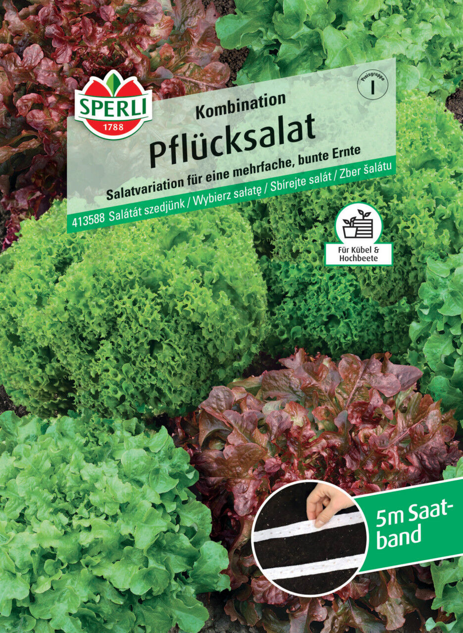 Sperli Pflücksalat Pflücksalat-Kombination Saatband