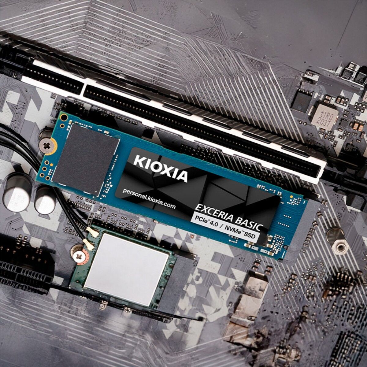 KIOXIA EXCERIA Basic 2TB M.2 2280 PCIe 4.0 NVMe SSD Solid State Drive