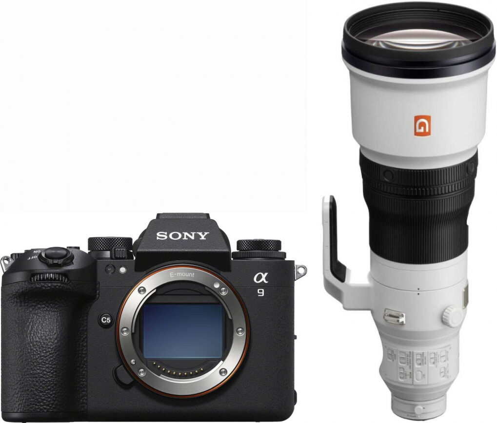 Alpha ILCE-9 III + Sony SEL 600mm f4 GM OSS