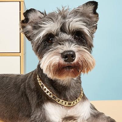 haustierhalskette sommer neue niedliche schnauzer bomei teddy fadou halsband hersteller großhandel hundehalskette