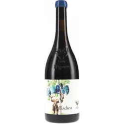 Radica Rosso I Vigneri di Salvo Foti 2025