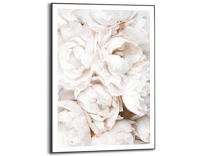 Slim Frame Witte rozen 70 x 50