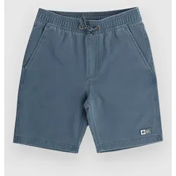 Salty Crew Seadog Volley Kids Boardshorts navy Gr. S