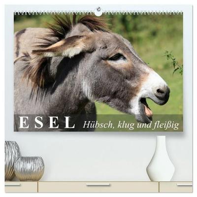 Esel - hübsch, klug und fleißig (hochwertiger Premium Wandkalender 2027 DIN A2 quer), Kunstdruck in Hochglanz