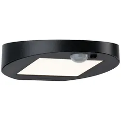 Paulmann LED Solar-Wandleuchte RYSE mit Bewegungsmelder, IP44, 3000K 145lm, Anthrazit PAUL-94246