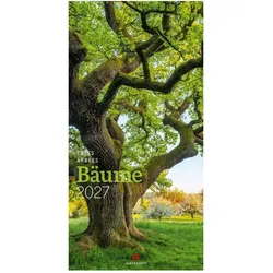 Ackermann, Kalender, Bäume Kalender 2027