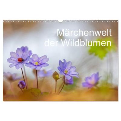 Märchenwelt der Wildblumen (Wandkalender 2027 DIN A3 quer), CALVENDO Monatskalender