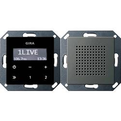 GIRA Unterputz-Radio Edelstahl 2280600 1 St.