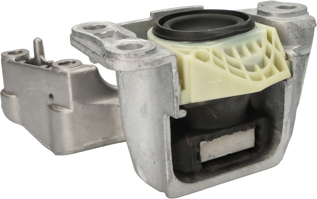 Sasic Supporto, supporto motore 2704108
