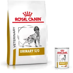 Sparpaket 13 kg + 2x12x410 g Royal Canin Urinary S/O für Hunde