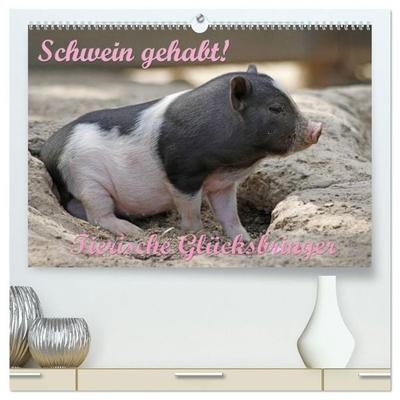 Schwein gehabt! (hochwertiger Premium Wandkalender 2027 DIN A2 quer), Kunstdruck in Hochglanz
