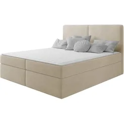 BOXBETT Claire - H3