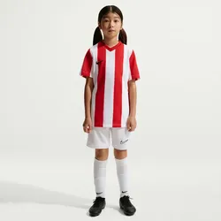 NIKE Division V Dri-FIT Stripe Trikot Kinder 104 - white/university red/black XL (158-170 cm)